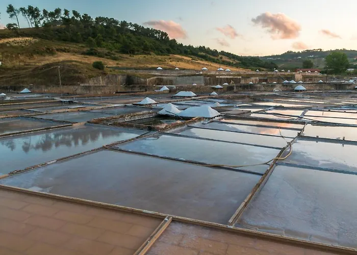 Casa Julio Henriques Holiday home Caldas Da Rainha